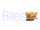 Bites