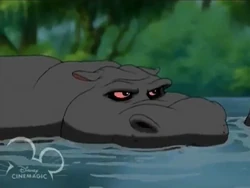 Common Hippopotamus/Gallery | FictionRulezForever Wiki | Fandom