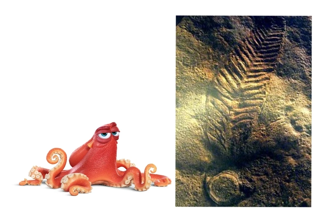 Charniodiscus FictionRulezForever Wiki Fandom