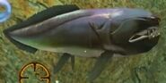 The Ocean Hunter (1998)