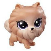 Pomeranian | FictionRulezForever Wiki | Fandom