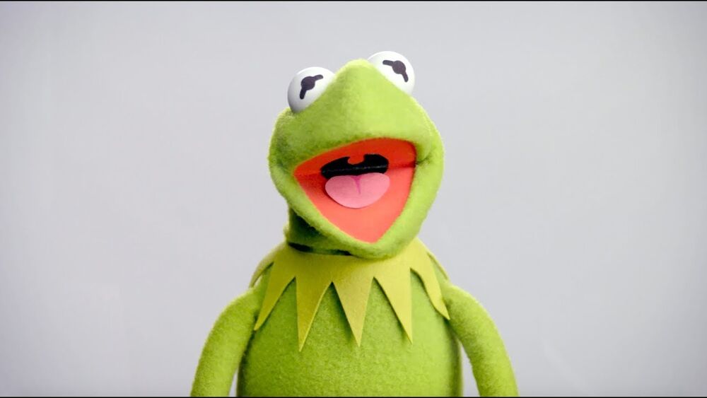 KERMIT THE FROG FLASHCARDS PHONICSカーミット Kermit the Frog/Gallery | FictionRulezForever Wiki | Fandom