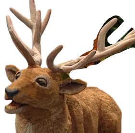 Robert the Deer | FictionRulezForever Wiki | Fandom