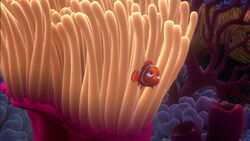 Sea Anemone | FictionRulezForever Wiki | Fandom