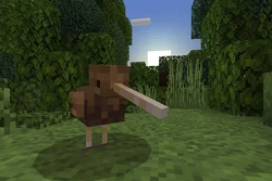 North Island Brown Kiwi | FictionRulezForever Wiki | Fandom