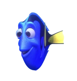 DORY様 1b0eade6-a9e6-54e8-8d3d-