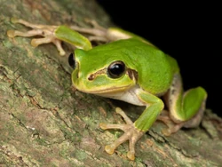 250?cb=20240604152404