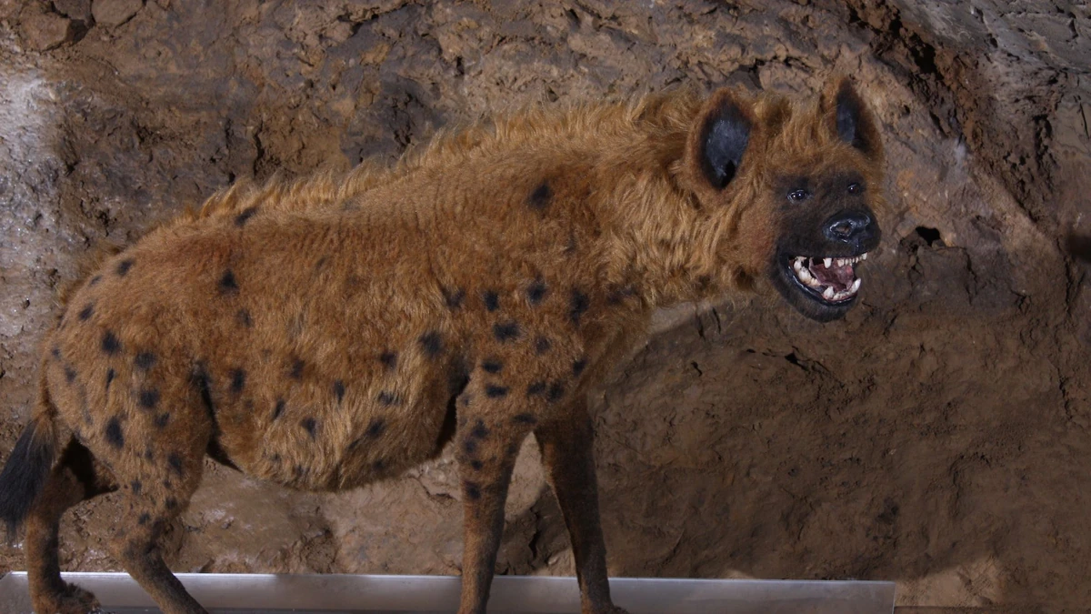 Cave Hyena | FictionRulezForever Wiki | Fandom