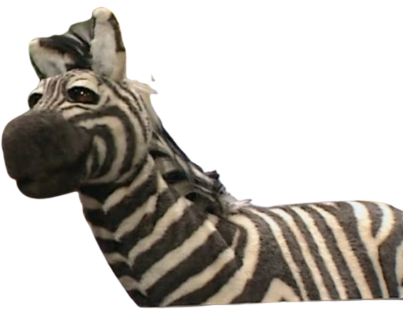jim henson zebra