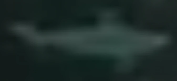 Caribbean Sharpnose Shark | FictionRulezForever Wiki | Fandom