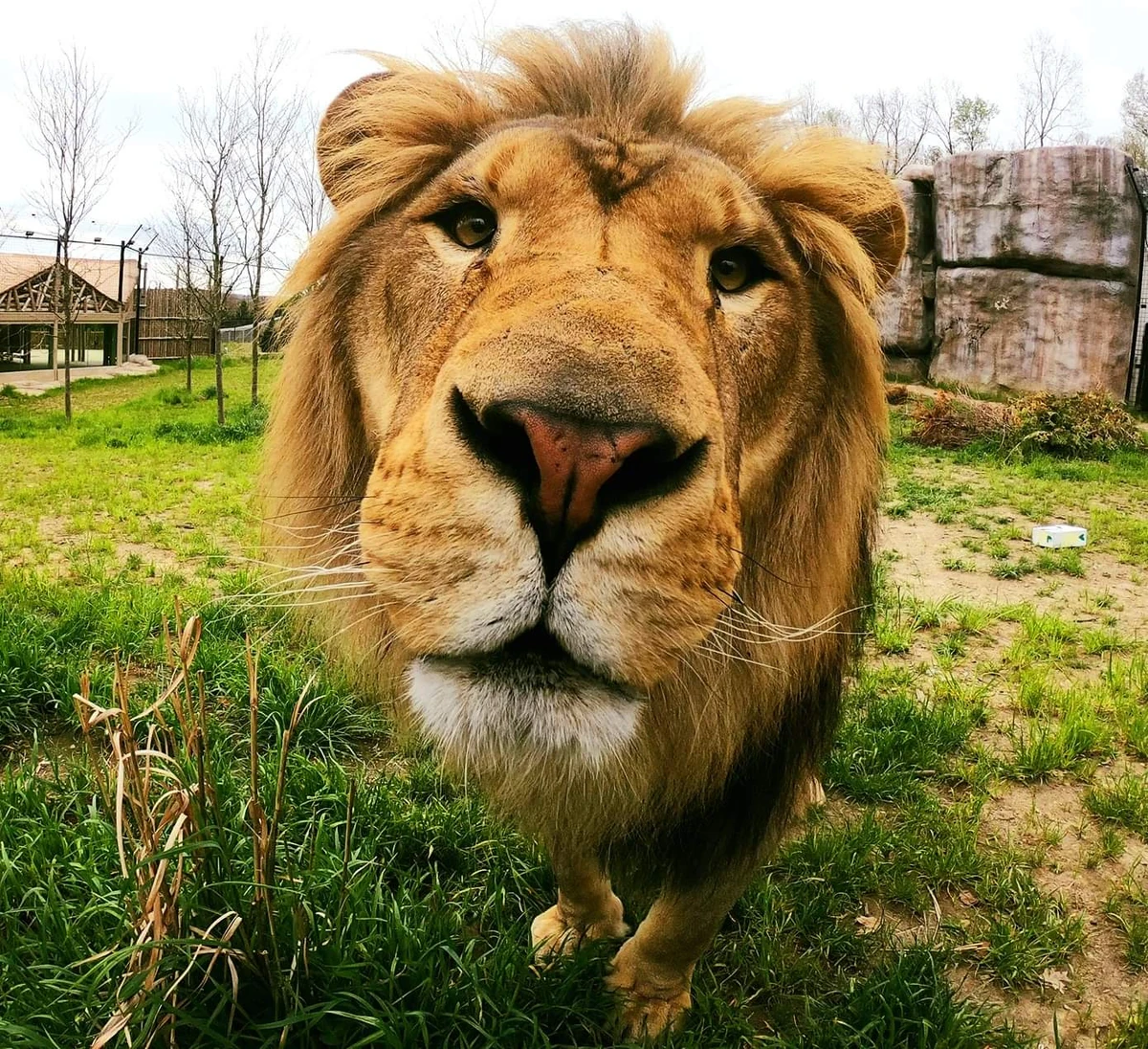 Animal Crackers (2001) (NatureRules1 Version) FictionRulezForever