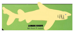 Sicklefin Lemon Shark | FictionRulezForever Wiki | Fandom