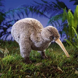 North Island Brown Kiwi | FictionRulezForever Wiki | Fandom