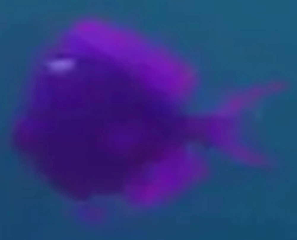 Atlantic Blue Tang | FictionRulezForever Wiki | Fandom