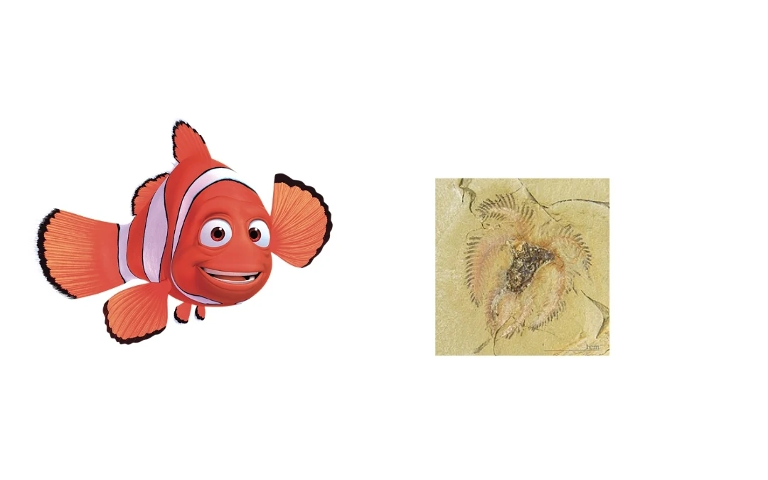 Furca FictionRulezForever Wiki Fandom