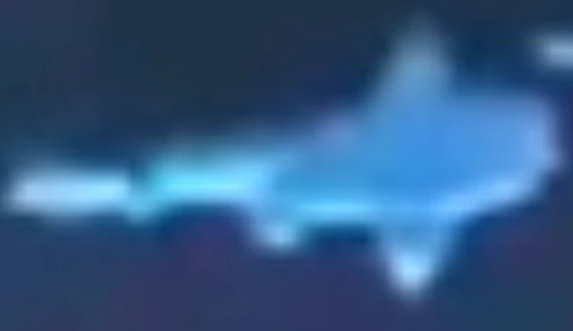 Northern Wobbegong FictionRulezForever Wiki Fandom