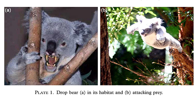 https://static.wikia.nocookie.net/fictspedia/images/0/0e/Drop-bear-image.jpg/revision/latest?cb=20140909040150