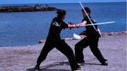 Still of the test footage for a lightsaber sequence. Fight coordinators  and his sister  spar. Notice the blades are without visual effects added.