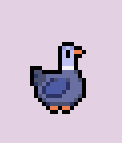 Duck | Fields of Mistria Wiki | Fandom
