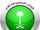 Saudi Arabia national team