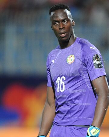 Edouard Mendy Fifa Football Gaming Wiki Fandom