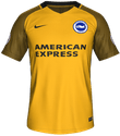 Brighton Away kit in FIFA 18