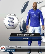 Birmingham City Home kit in FIFA 13