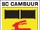 SC Cambuur