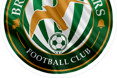 Bray Wanderers mini world cup - Bray Wanderers FC