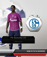 Schalke 04 Alternative kit in FIFA 13