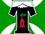Deportes Temuco