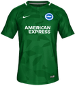 Brighton Away kit in FIFA 19