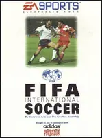 FIFA International Soccer Windows