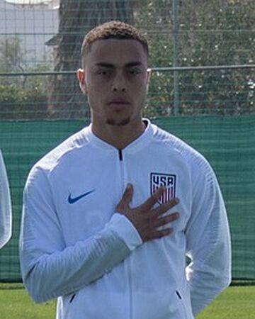 Sergino Dest Fifa Football Gaming Wiki Fandom
