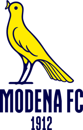 Modena Football Club 2018 Flag with New Logo Editorial Photography -  Illustration of flag, design: 250205222