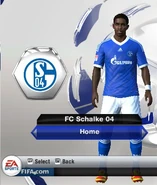 Schalke 04 Home kit in FIFA 13