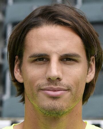 Yann Sommer Fifa Football Gaming Wiki Fandom