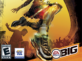 FIFA Street 2