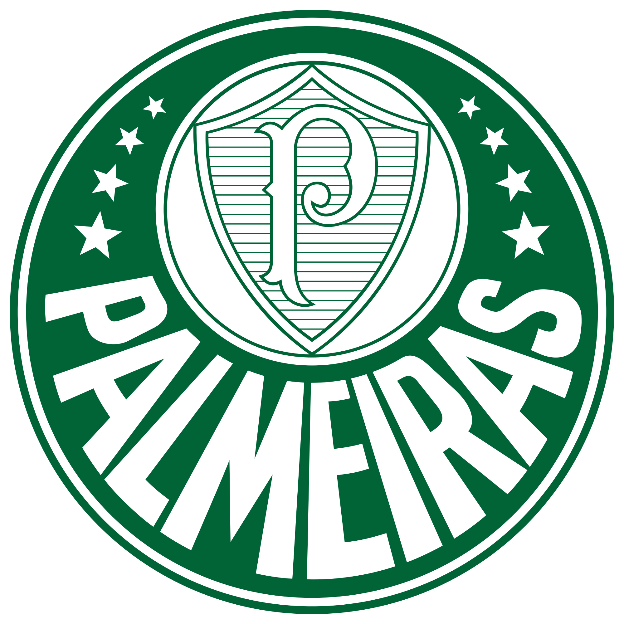 Brasileirão (Brazilian Série A) trophy  Brasileirao, Gigante palmeiras,  Futebol de rua