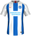 Brighton Home kit in FIFA 19