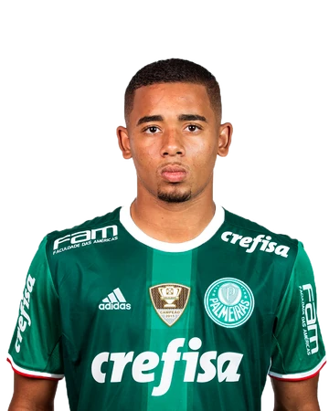 Gabriel jesus palmeiras jersey Outlet