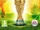 2014 FIFA World Cup Brazil