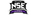 Netshoes E-Sportslogo std.png