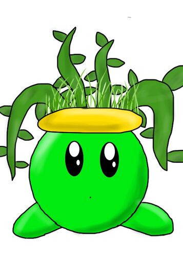 A plant fifi