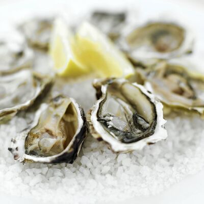 Oysters.jpg