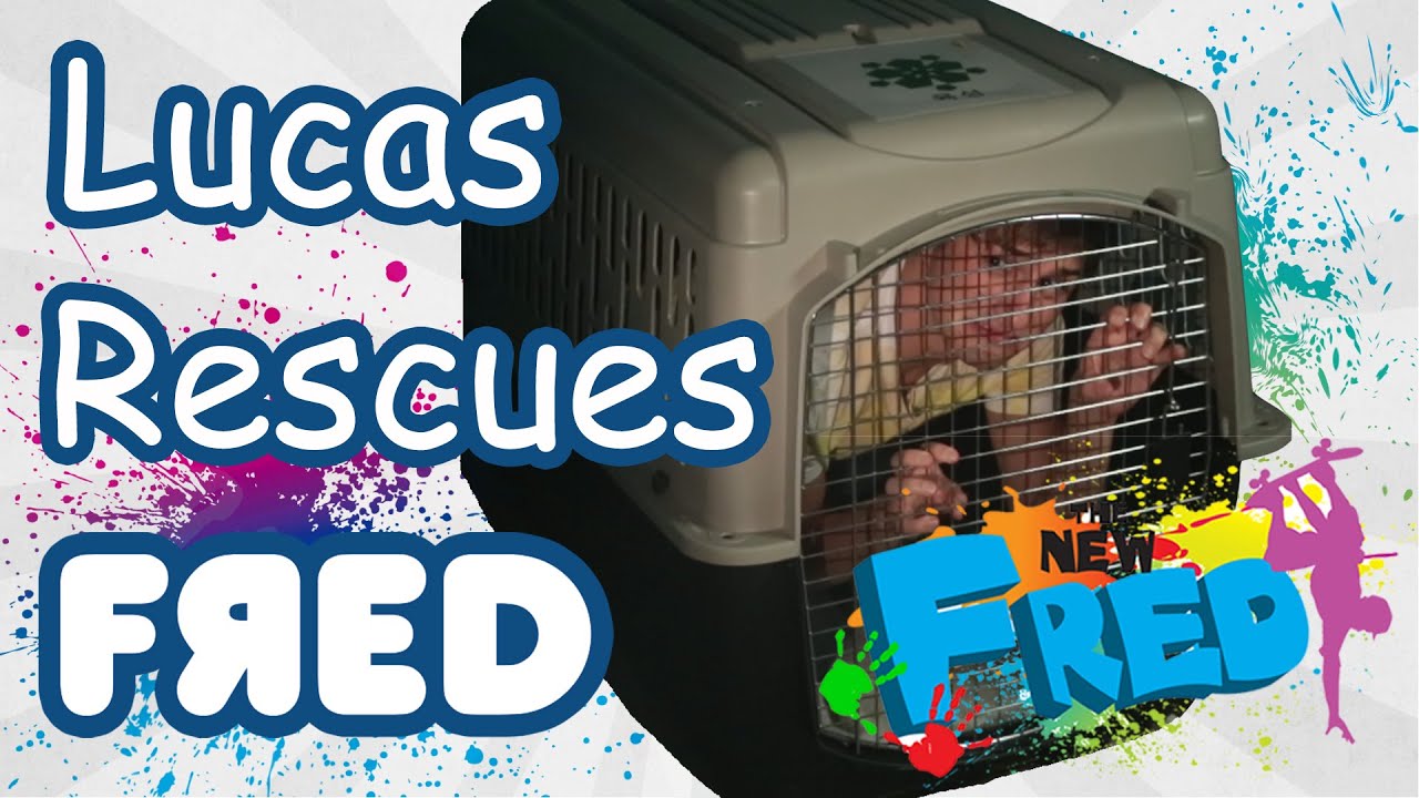 Lucas Rescues Fred | Fred Figglehorn Wiki | Fandom