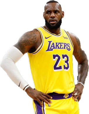 LeBron James | Fight Club Championship Fanom Wiki | Fandom