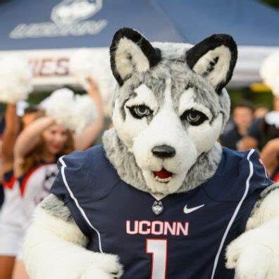 Jonathan the Husky | Fight Club Championship Fanom Wiki | Fandom