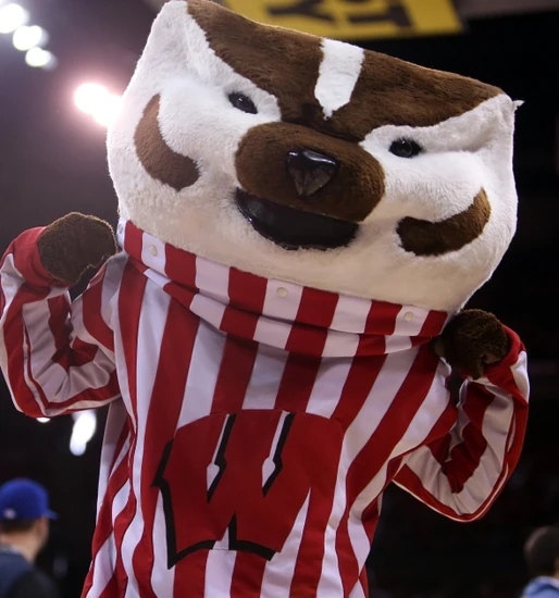 Bucky Badger Fight Club Championship Fanom Wiki Fandom