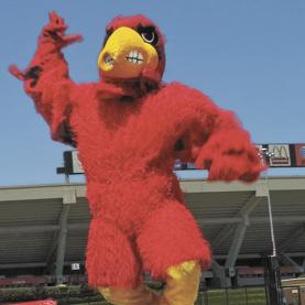 Get acquainted with Louie the Cardinal in Louisville, KY - LOUtoday